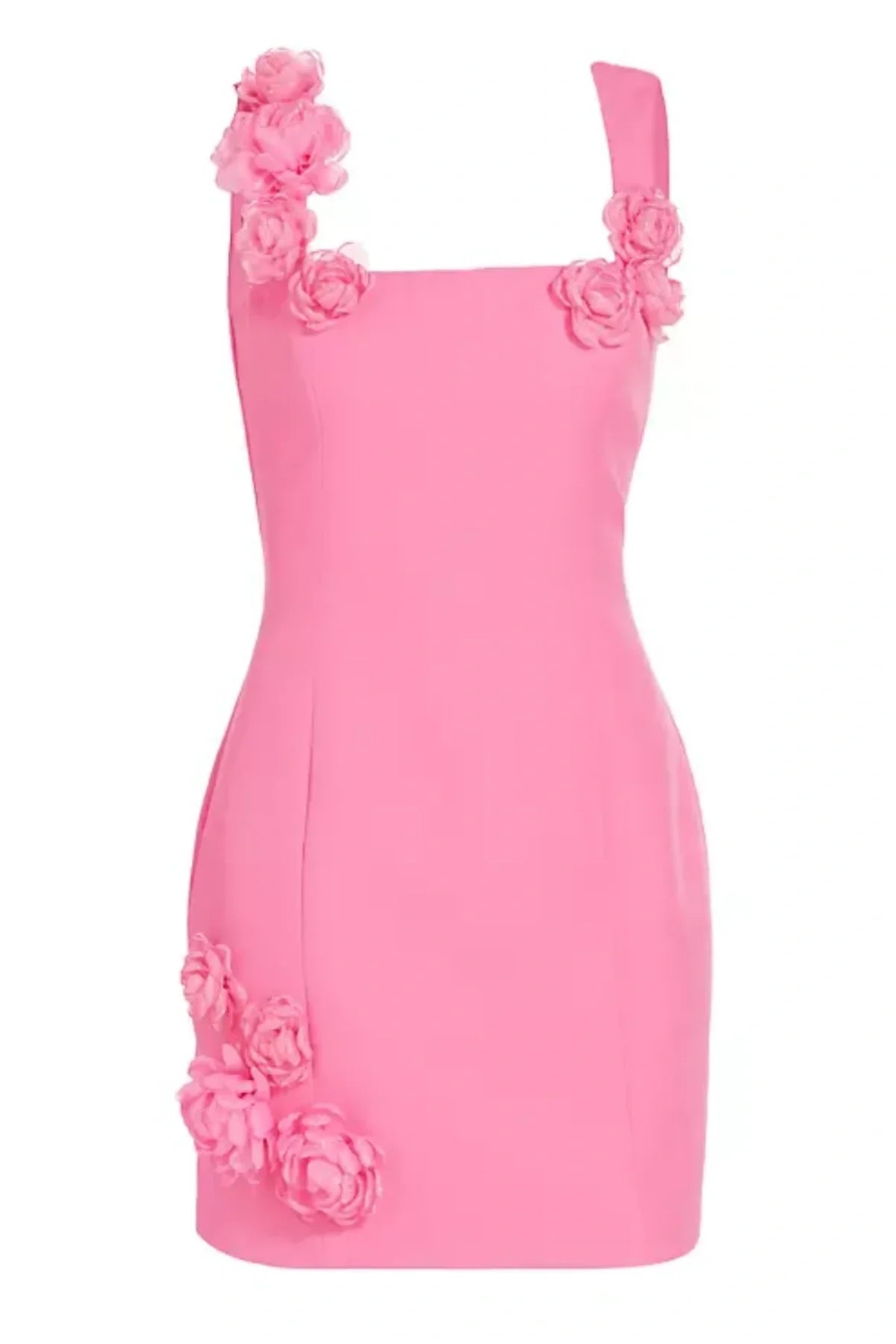 Dilanne Floral Appliqué Mini Dress - Pink