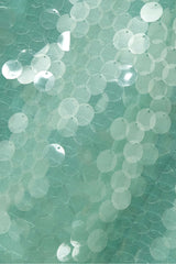 Gawaya Sequin Tulle Midi Skirt