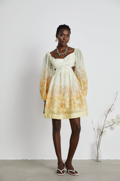 Delphine floral mini dress