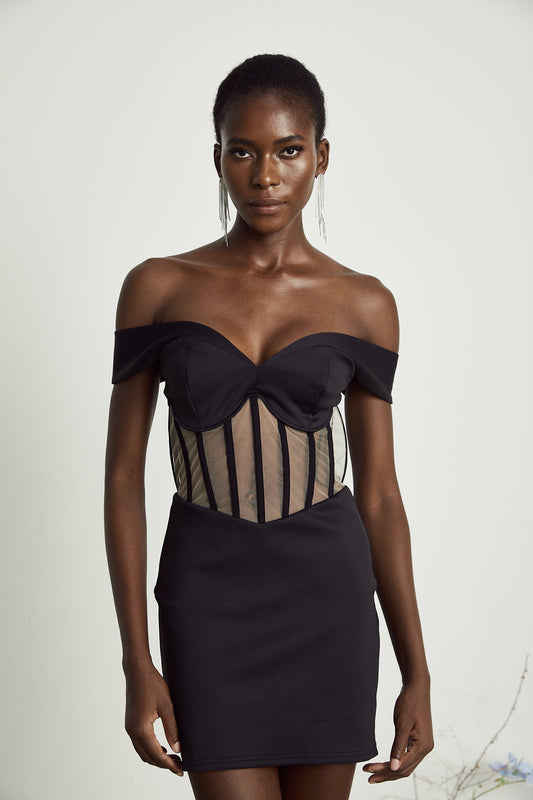 Laguna panelled corset mini dress