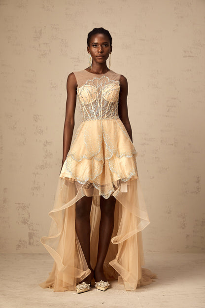 Daisy champagne embellished high-low hem gown