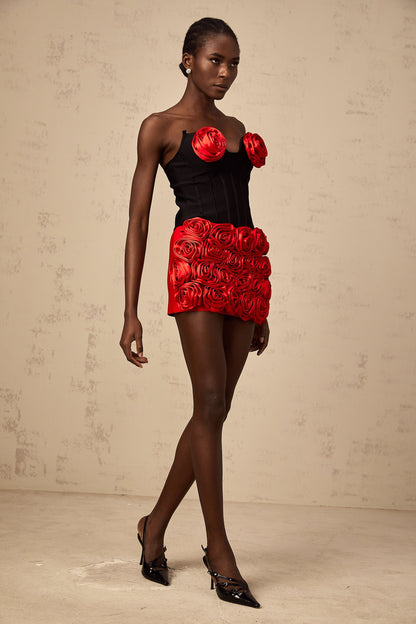 Héloïse red rose-appliqué top & skirt matching set