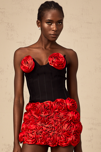 Héloïse red rose-appliqué top & skirt matching set