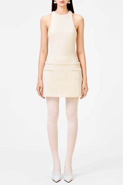 Abene Sleeveless Beaded Embellished  Knit Mini Dress