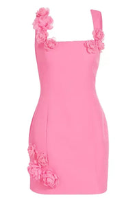 Dilanne Floral  Appliqué Mini Dress - Pink