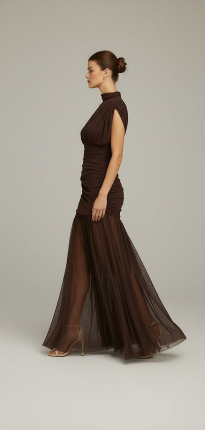 Sheer Turtleneck Mesh Maxi Gown