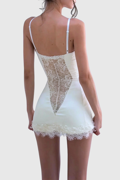 Hakore Lace Corset Mini Dress