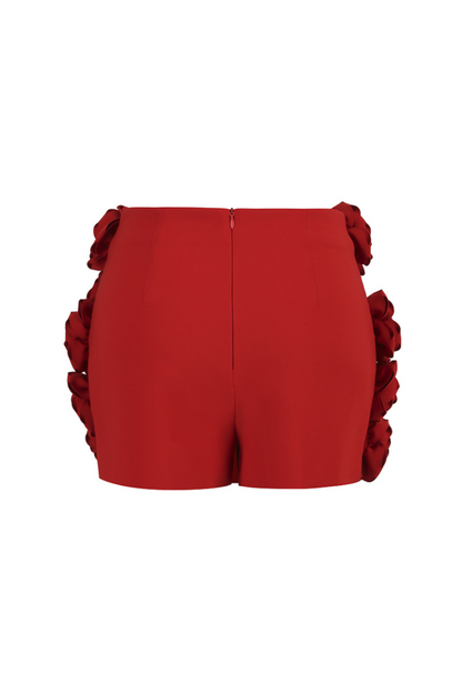 Oriole Floral Appliqué Shorts